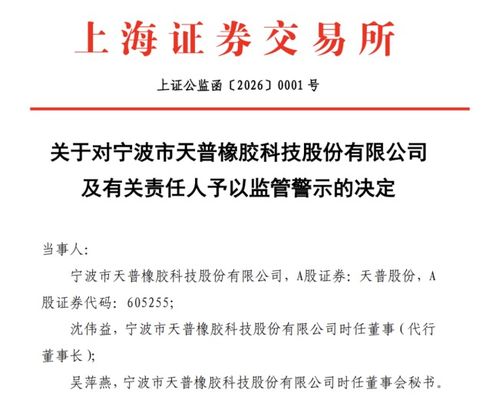 AI軟件開發公司突遭證監會立案調查，行業監管風暴或將開啟